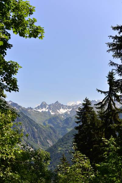 DSC_5383.JPG