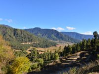 Beautiful Phobjikha Valley (winter home of the famous black necked crane)