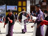 Black Necked Crane Festival at Gangtey Monastery