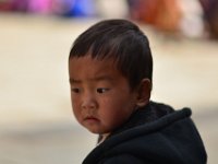 Black Necked Crane Festival at Gangtey Monastery - lovely boy