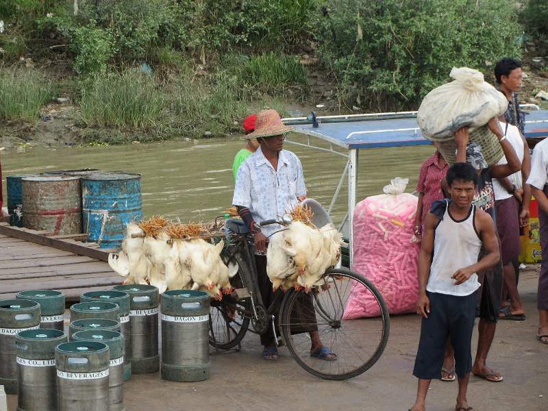 IMG_0668.JPG - Transporting to the delta region from Yangon.
