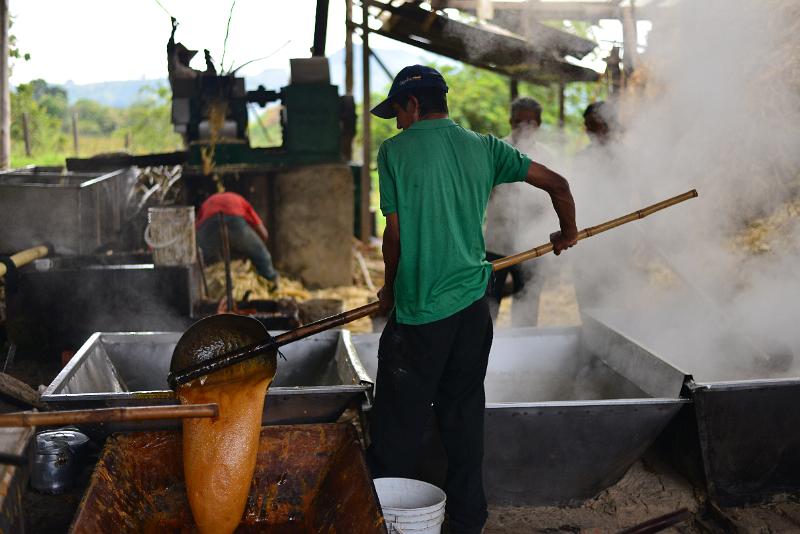 DSC_0017.JPG - Making brown sugar