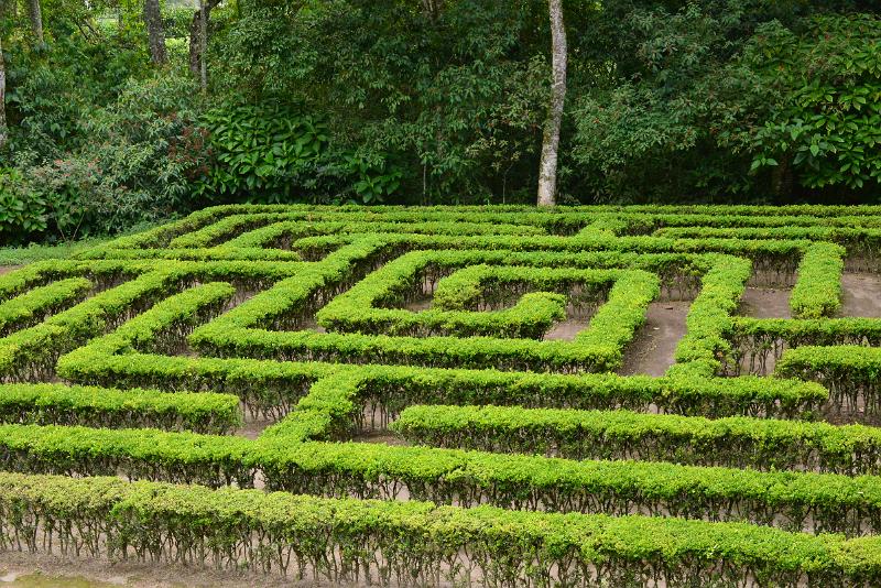 DSC_0233.JPG - Jardin Botanico del Quindio