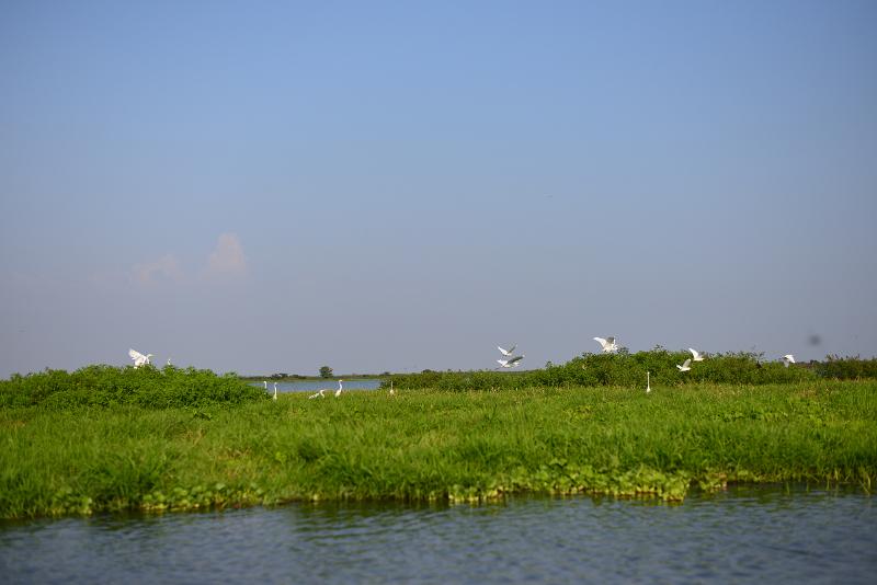 DSC_1265.JPG -  