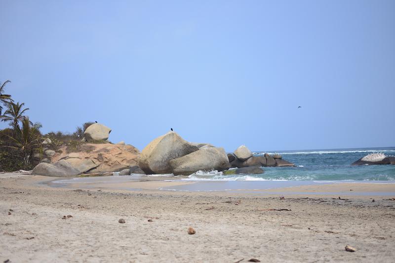 DSC_1463.JPG -  