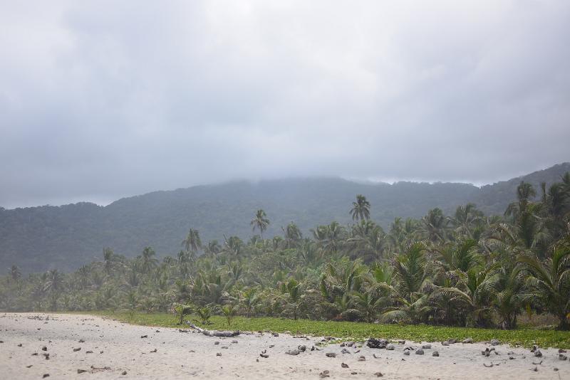 DSC_1469.JPG -  Tayrona