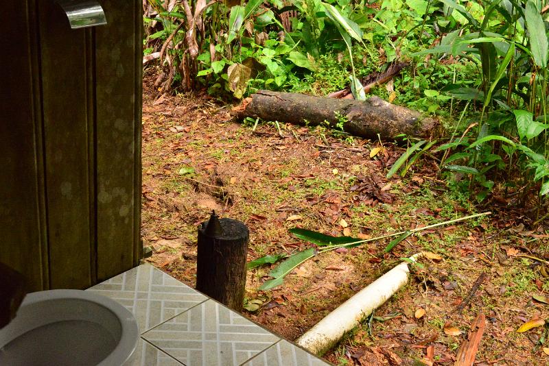 DSC_9725.JPG - Our toilet in the Amazon rain forest