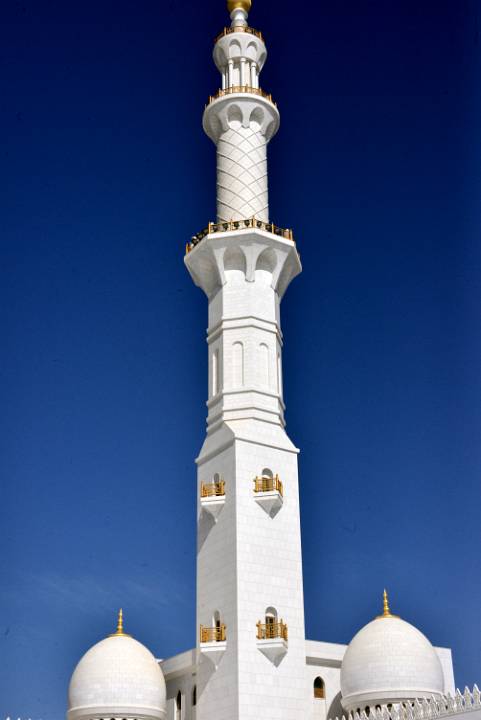 DSC 4000