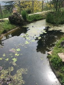 Bergamo Botanical Gardens