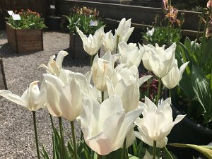 Bergamo Botanical Gardens