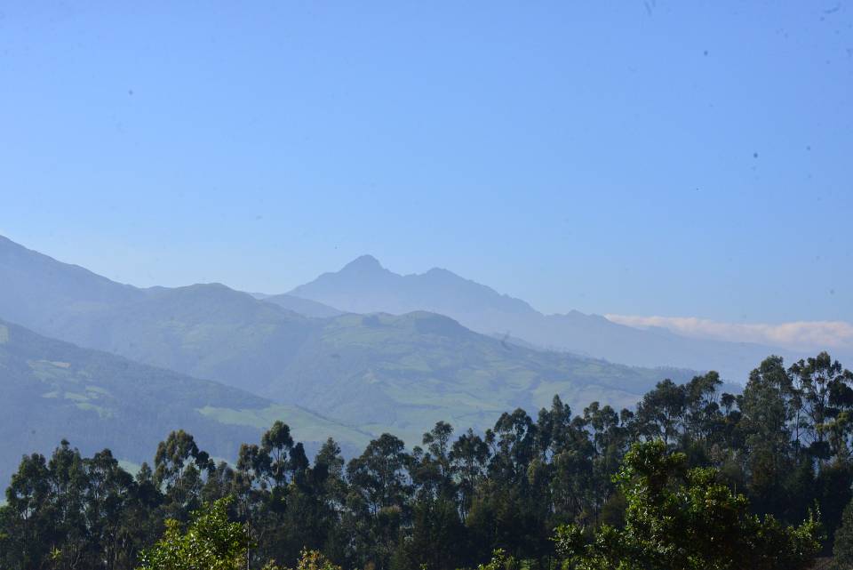 DSC 4511