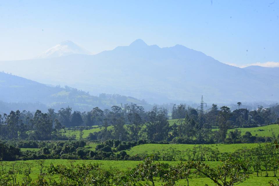 DSC 4555