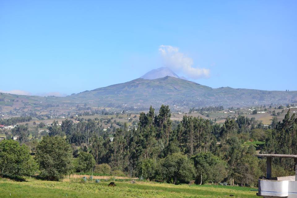 DSC 4666