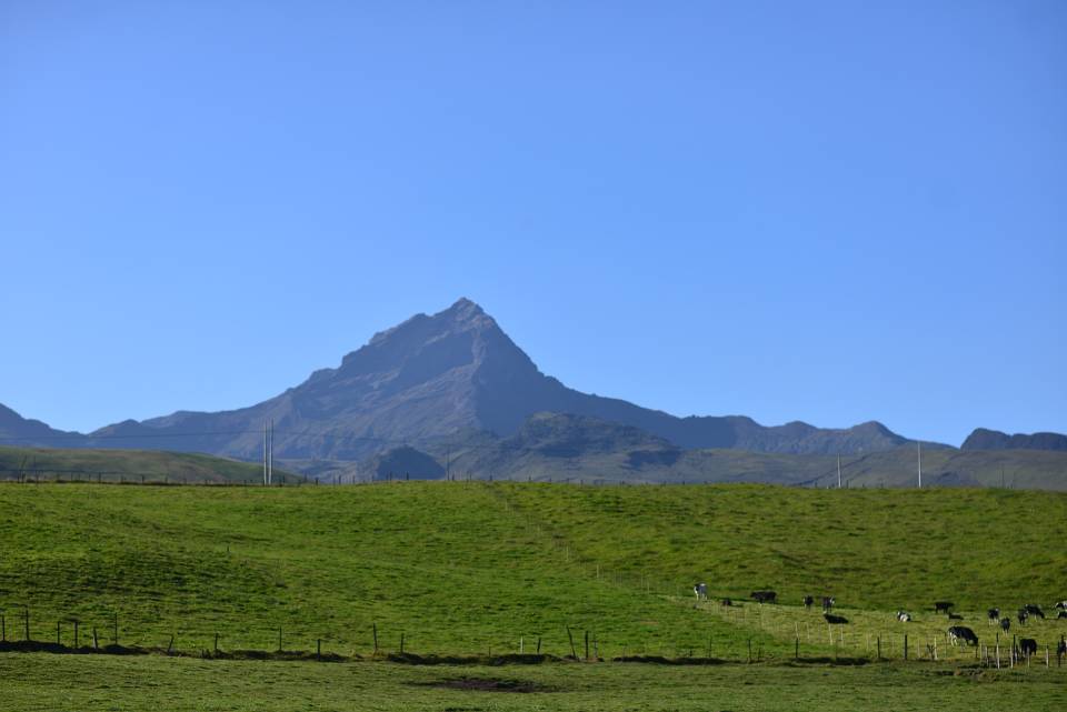 DSC 4682