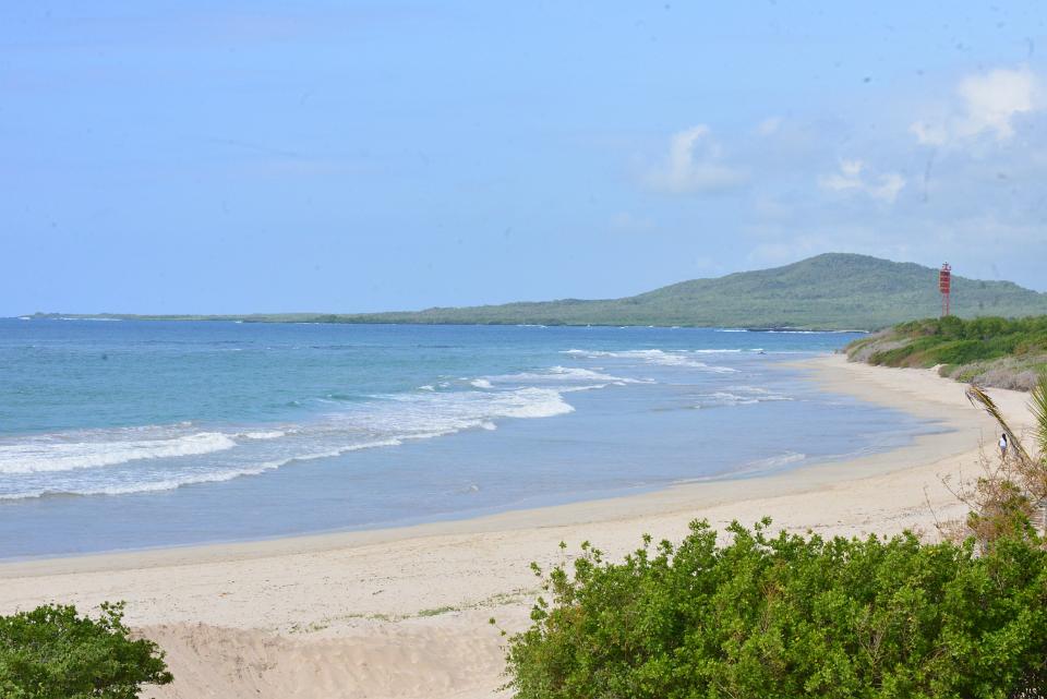 DSC 5193