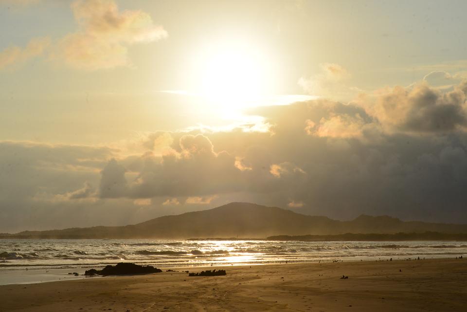 DSC 5334