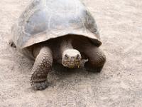 This big boy was fascinating to watch