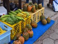 The weekend market in Santa Cruz