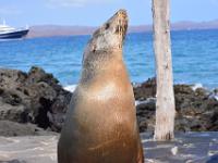 This chap nearly got me as I got a bit too close to him