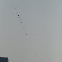 DSC_1328 String of kites - Ahmedabad kite festival.