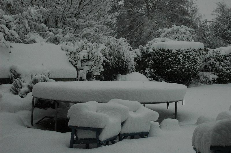 Garden.JPG
