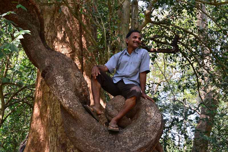 DSC_0553.JPG - Gopal in a tree