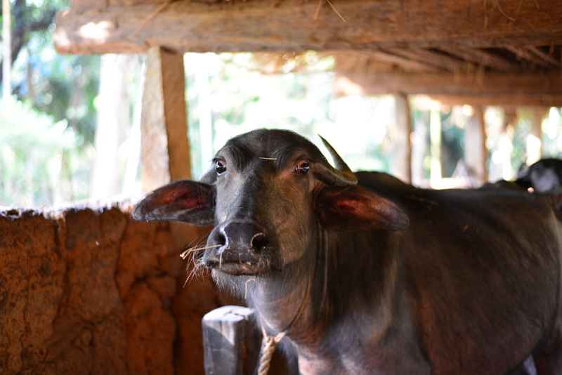 DSC_0574.JPG - a new friend