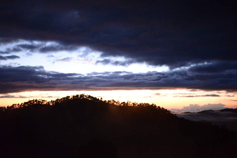 DSC 5320