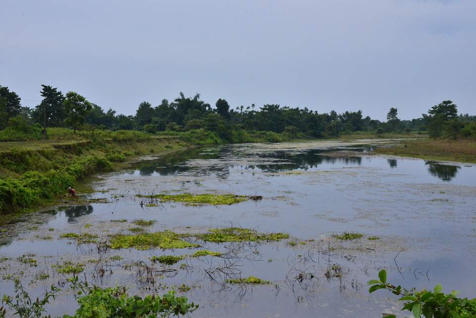DSC 5958