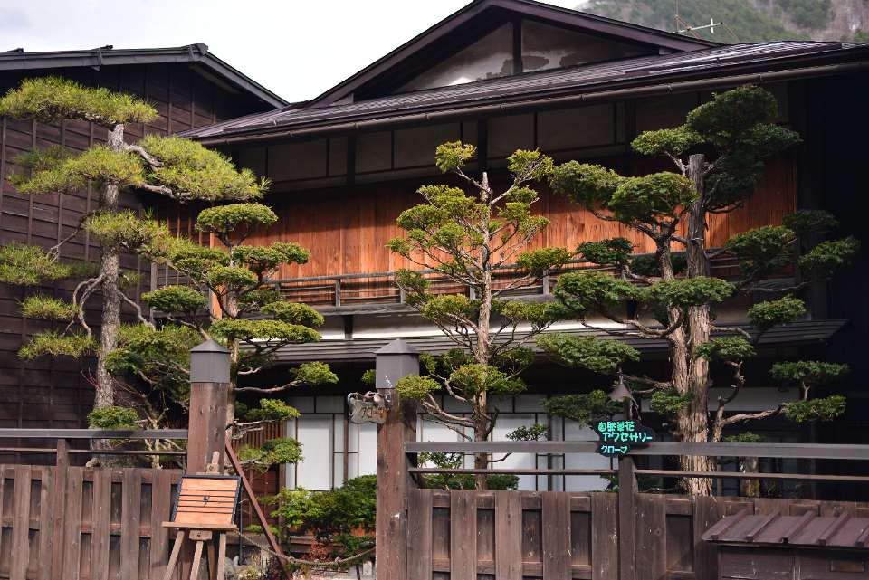 DSC 2533