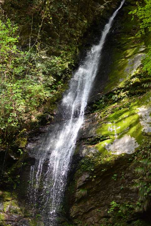 DSC 4064