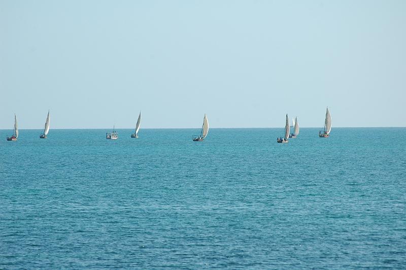 Boats.JPG