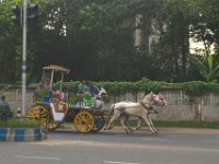 Kali statue travelling by horse carraige