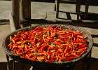 DSC 9260  Drying peppers