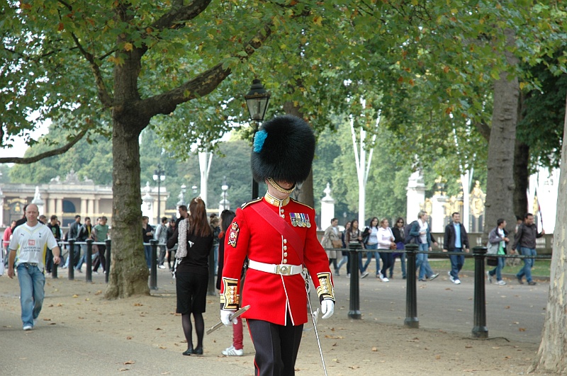 DSC_1998.JPG