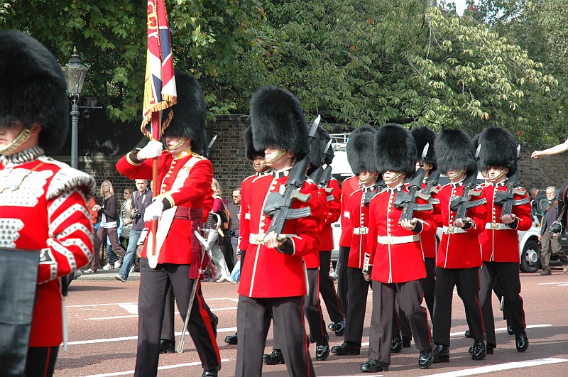 DSC_2113.JPG