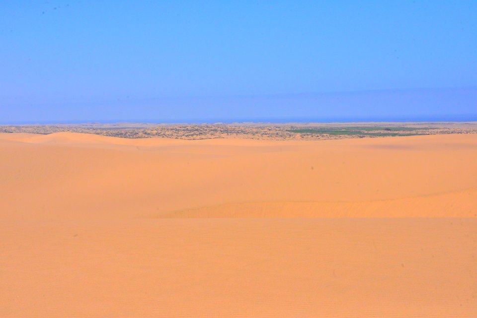 DSC 1464