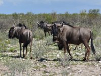 Otasha National Park