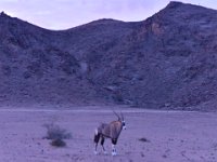 Hoanib sunrise