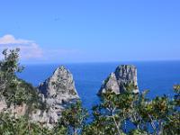 DSC 4391  Capri