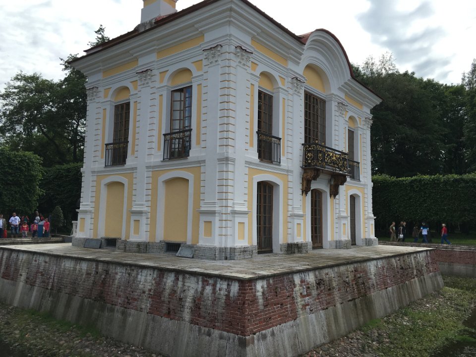 IMG 1542