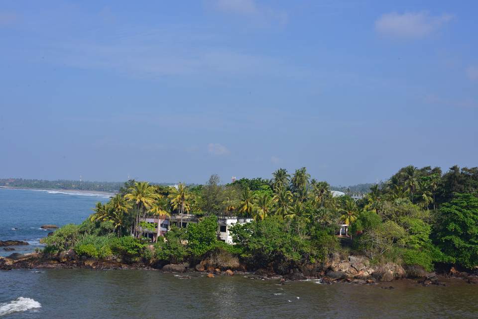 DSC 7894