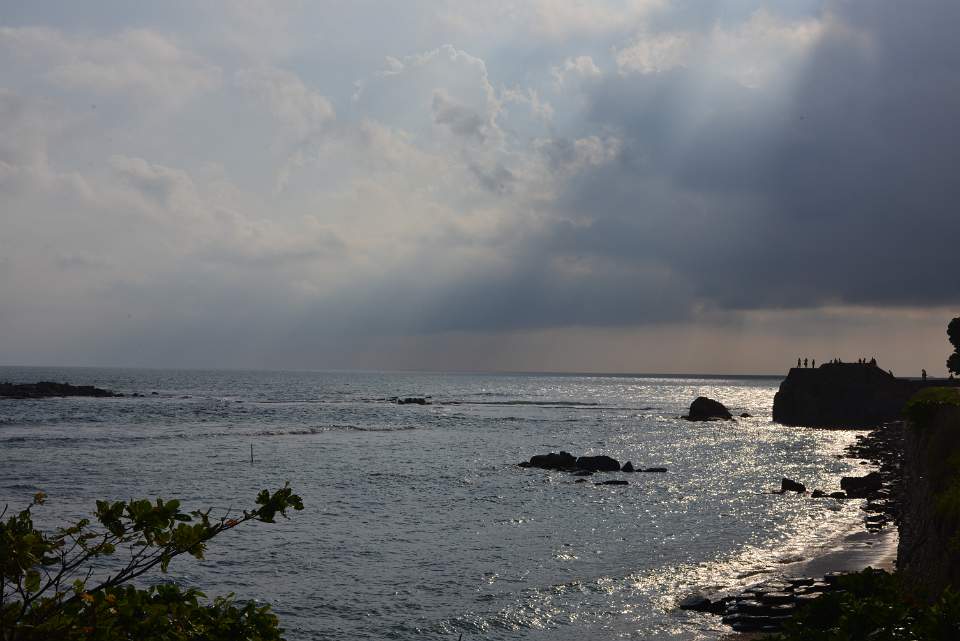 DSC 7915