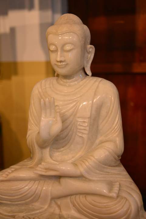 DSC 8310