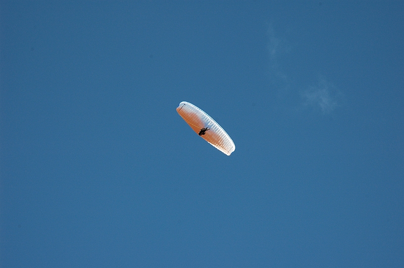 DSC_3364.JPG