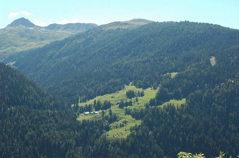 DSC_3390.JPG