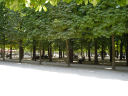 pa11.jpg (55k)